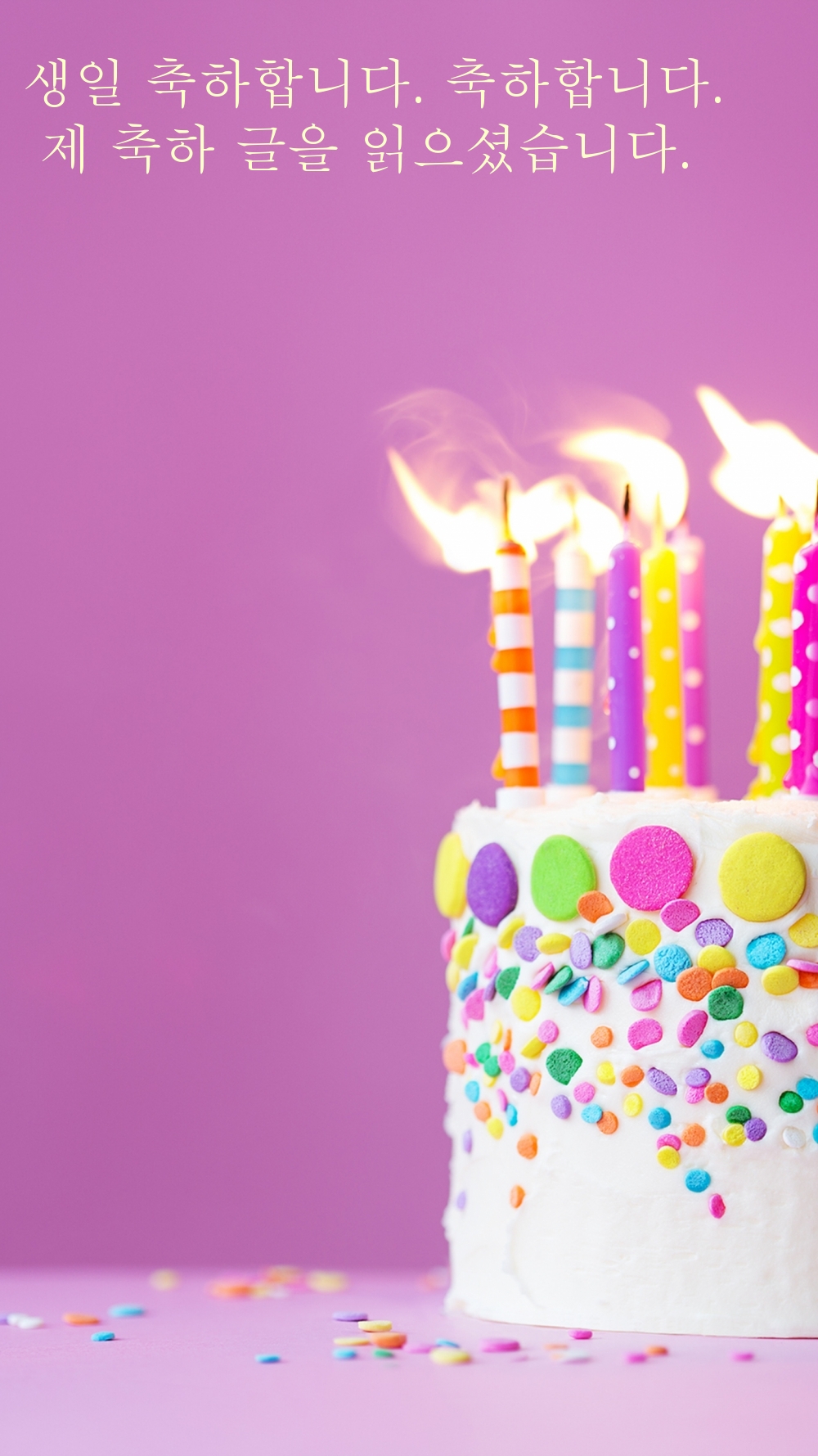 생일 축하합니다. 축하합니다.