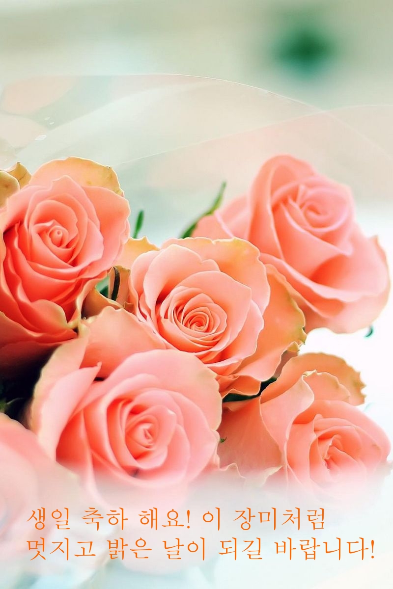 생일 축하 해요!