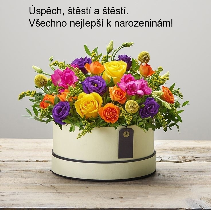 Úspěch, štěstí a štěstí. Všechno nejlepší k narozeninám!