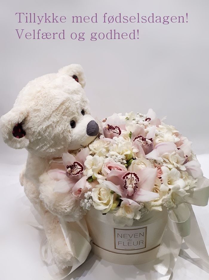 Tillykke med fødselsdagen! Velfærd og godhed!