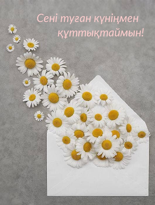 Сені туған күніңмен құттықтаймын!