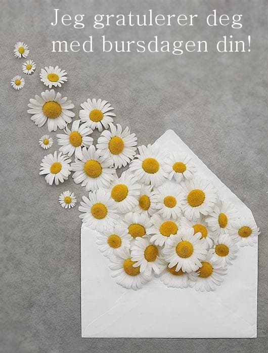 Jeg gratulerer deg med bursdagen din!