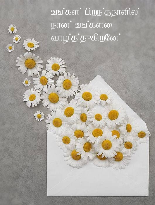 உங்கள் பிறந்தநாளில்  நான் உங்களை வாழ்த்துகிறேன்!
