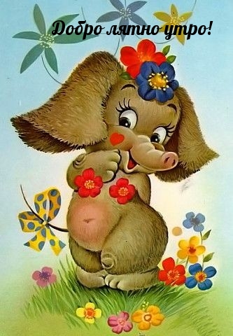 Добро лятно утро!
