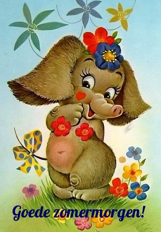 Goede zomermorgen!