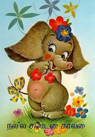 நல்ல கோடை காலை!