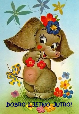 Dobro ljetno jutro!
