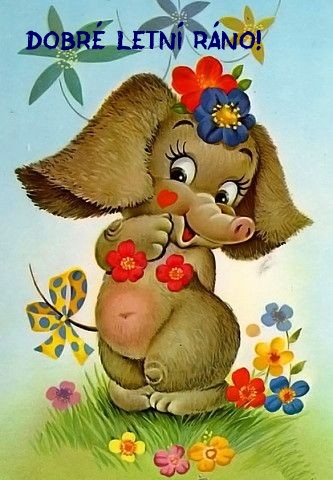 Dobré letní ráno!