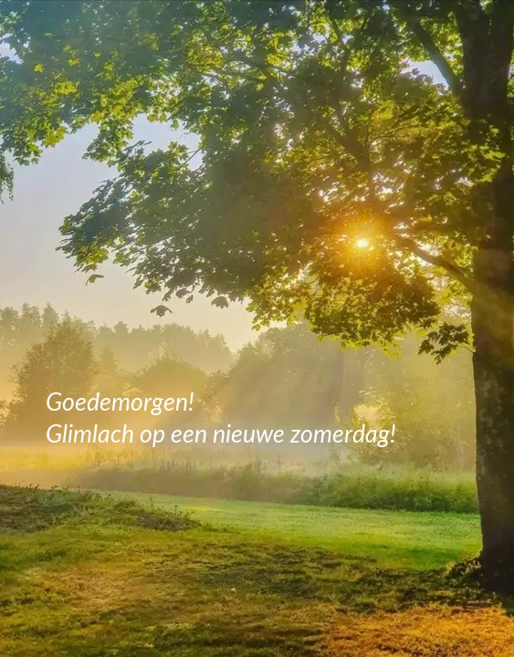 Goedemorgen! Glimlach op een nieuwe zomerdag!
