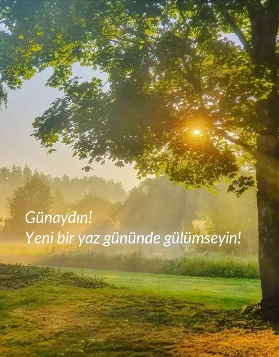 Günaydın! Yeni bir yaz gününde gülümseyin!