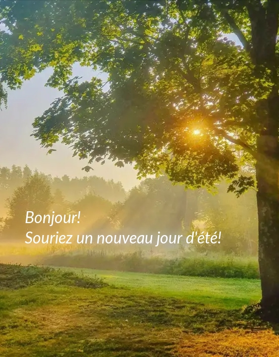Bonjour! Souriez un nouveau jour d