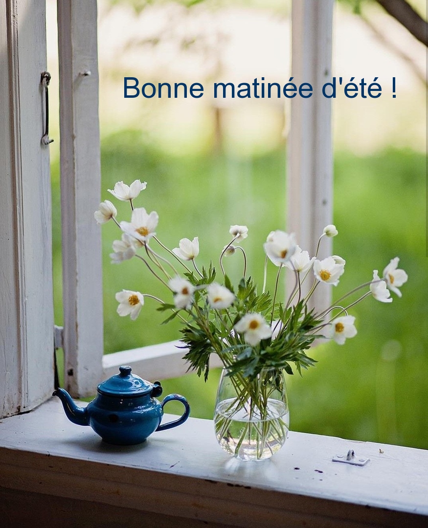 Bonne matinée d
