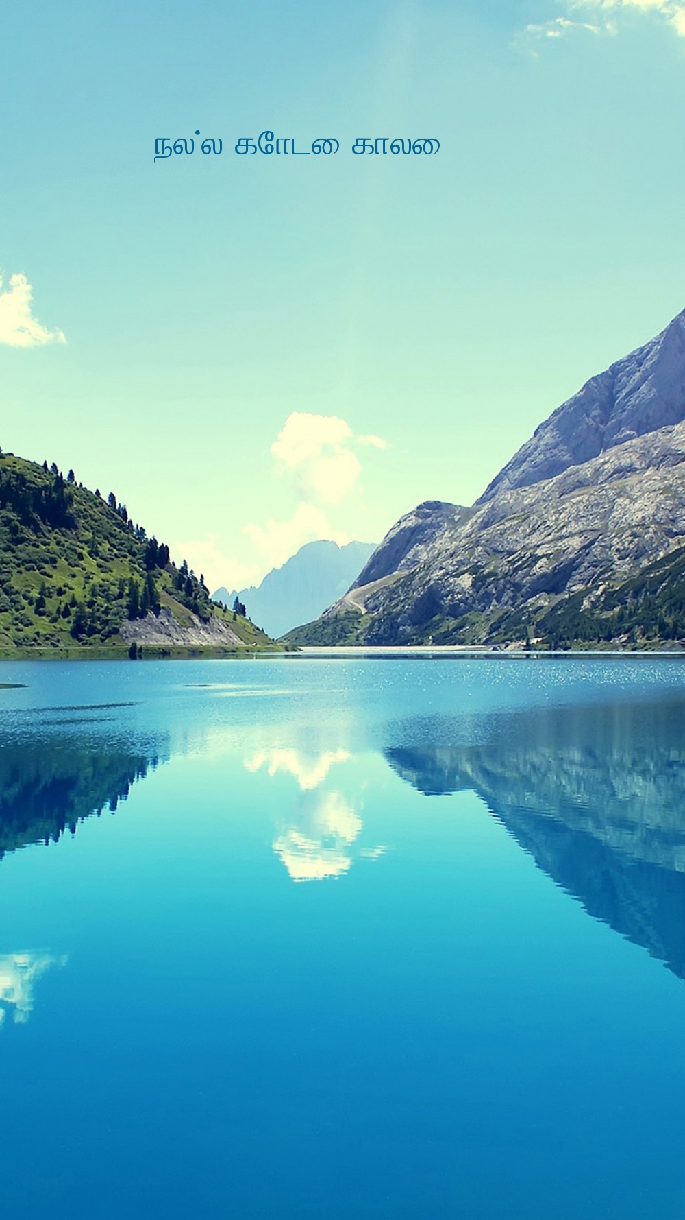 நல்ல கோடை காலை!