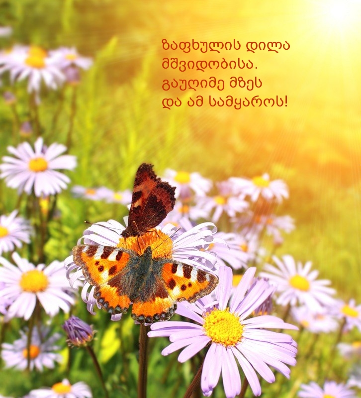 ზაფხულის დილა მშვიდობისა. გაუღიმე მზეს და ამ სამყაროს!
