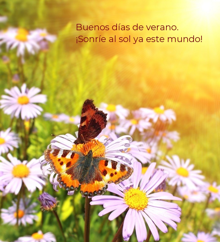 Buenos días de verano. ¡Sonríe al sol ya este mundo!