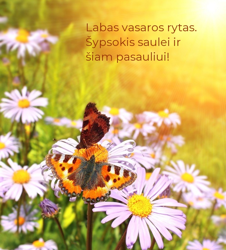 Labas vasaros rytas. Šypsokis saulei ir šiam pasauliui!