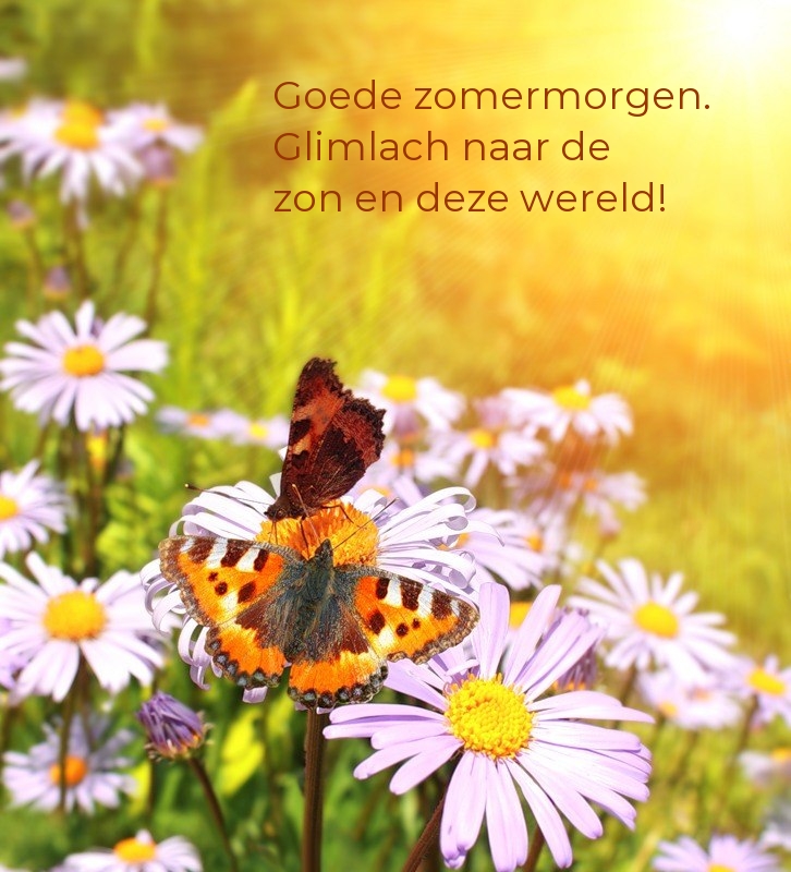 Goede zomermorgen. Glimlach naar de zon en deze wereld!