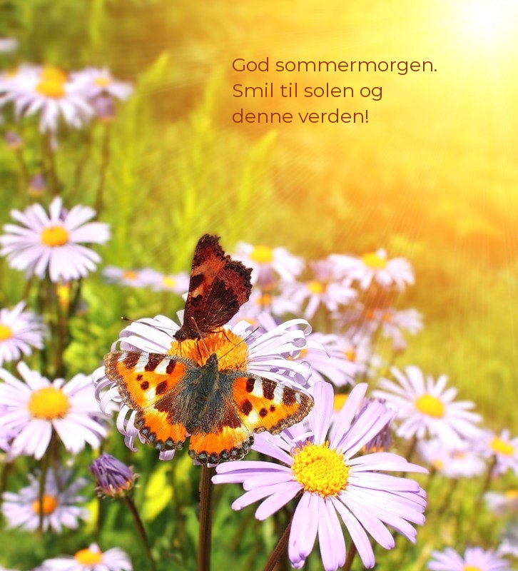 God sommermorgen. Smil til solen og denne verden!