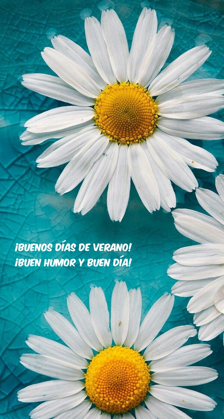 ¡Buenos días de verano! ¡Buen humor y buen día!
