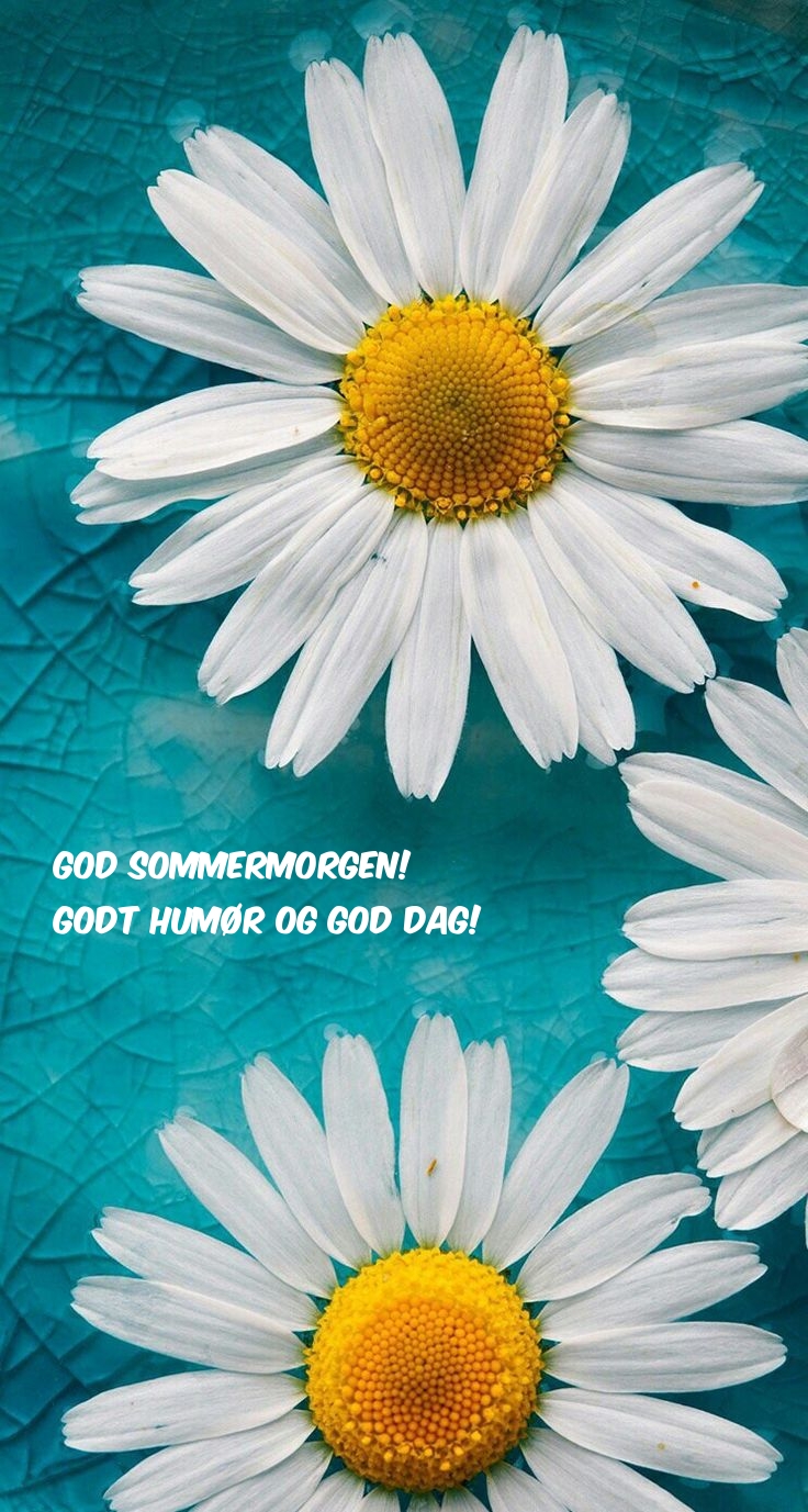 God sommermorgen! Godt humør og god dag!