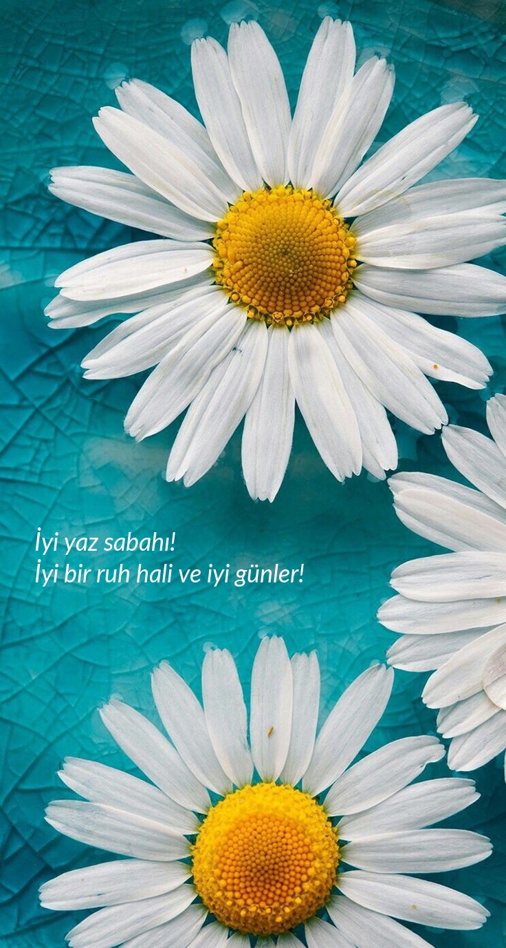 Hyvää kesäaamua! Hyvää mieltä ja hyvää päivää!