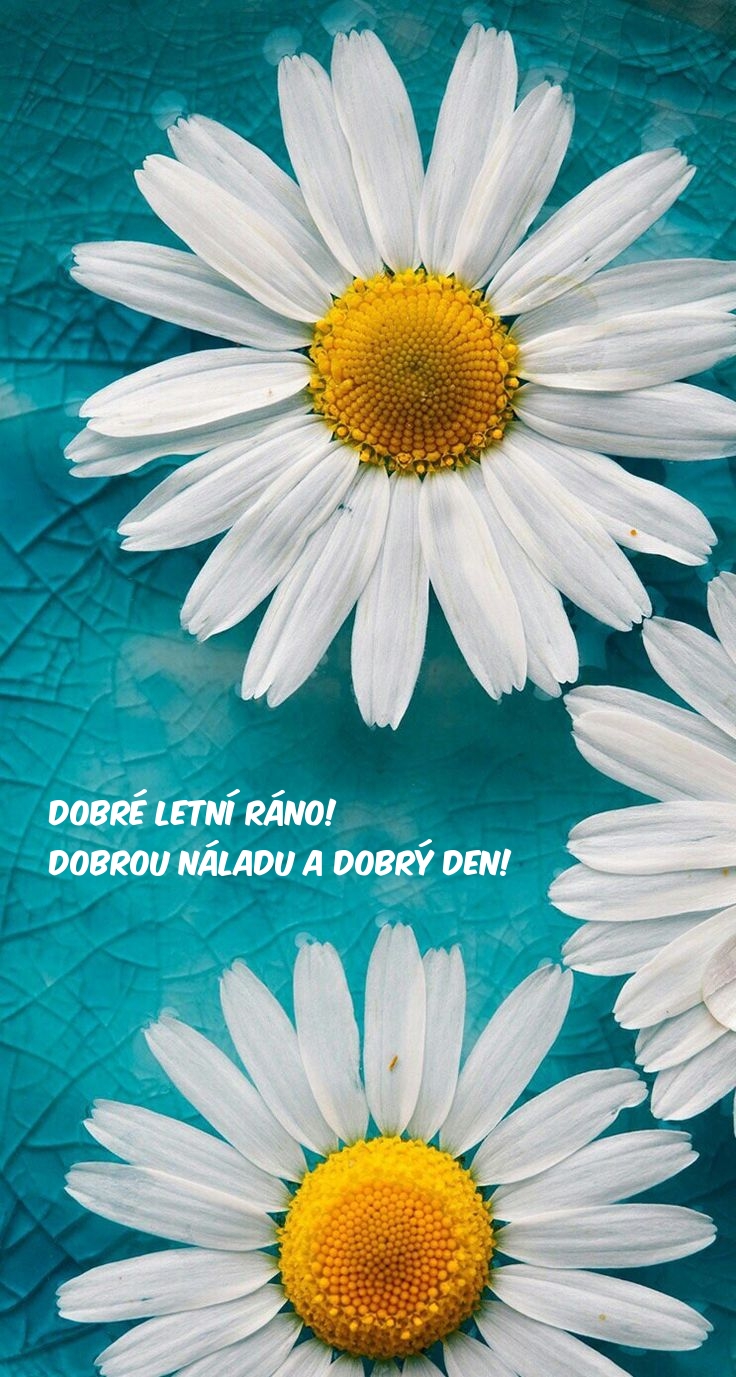 Dobré letní ráno! Dobrou náladu a dobrý den!