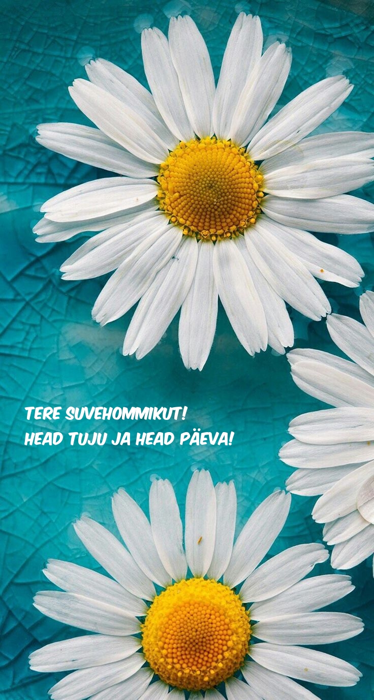 Tere suvehommikut! Head tuju ja head päeva!