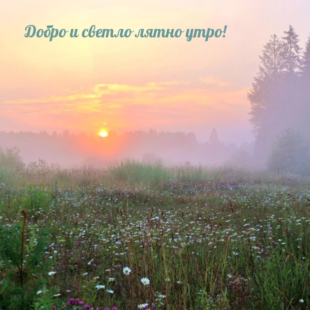 Добро и светло лятно утро!