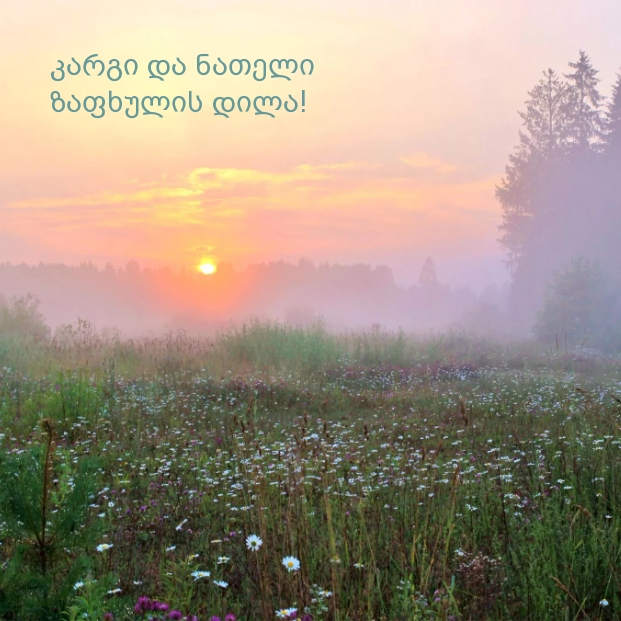 კარგი და ნათელი ზაფხულის დილა!
