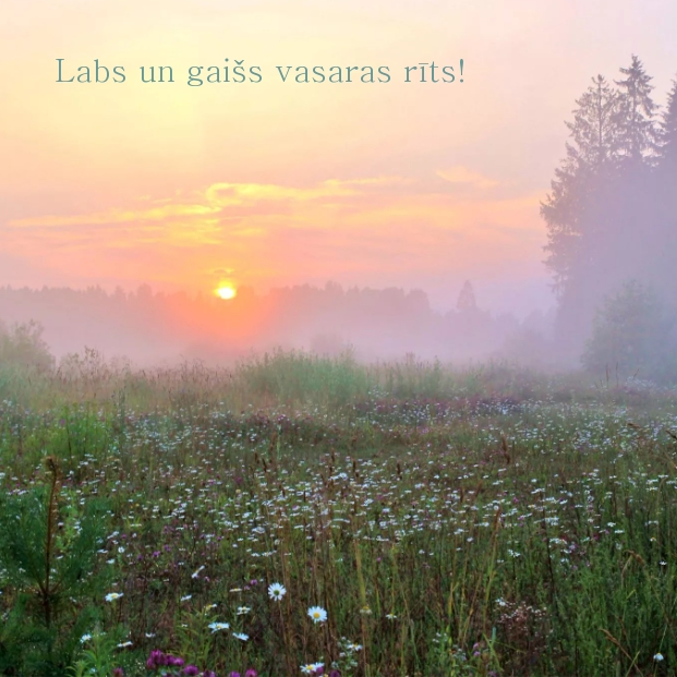 Labs un gaišs vasaras rīts!