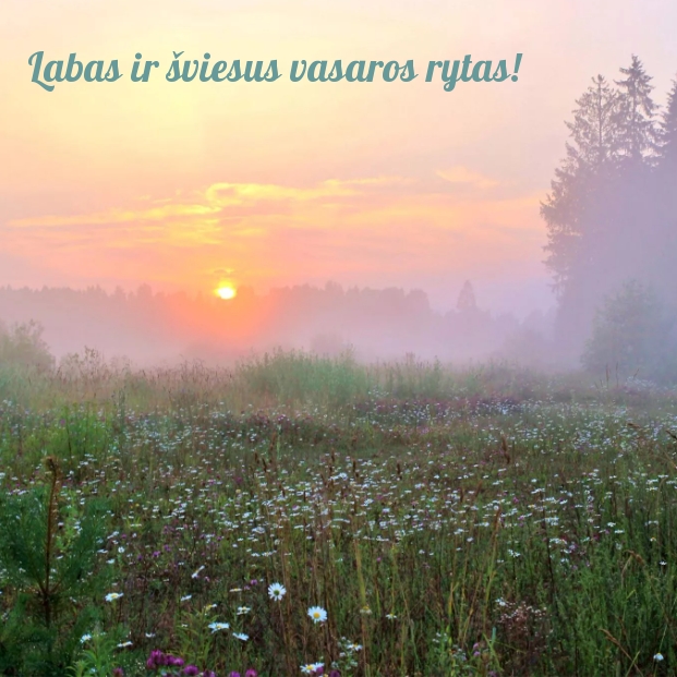 Labas ir šviesus vasaros rytas!
