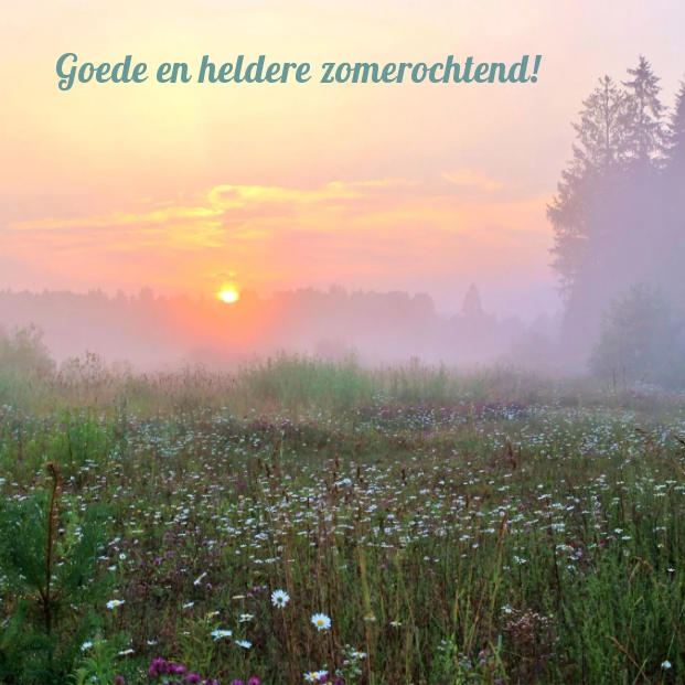 Goede en heldere zomerochtend!