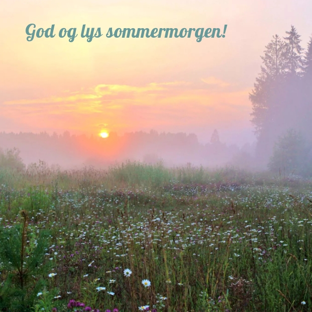 God og lys sommermorgen!