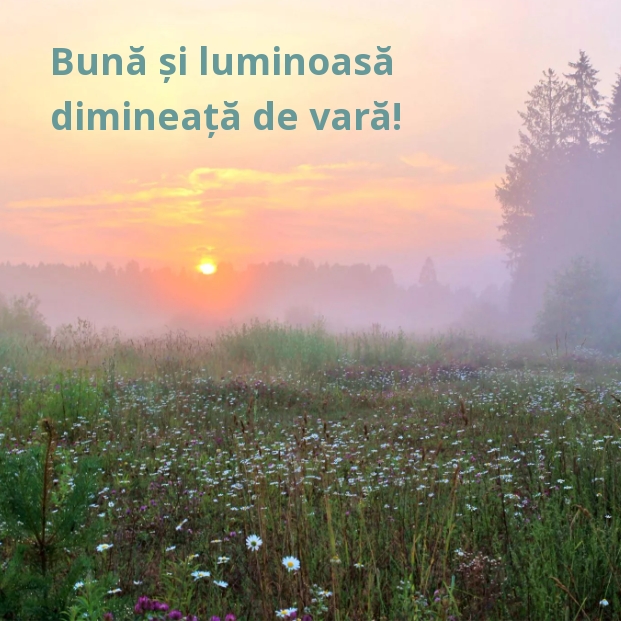 Bună și luminoasă dimineață de vară!