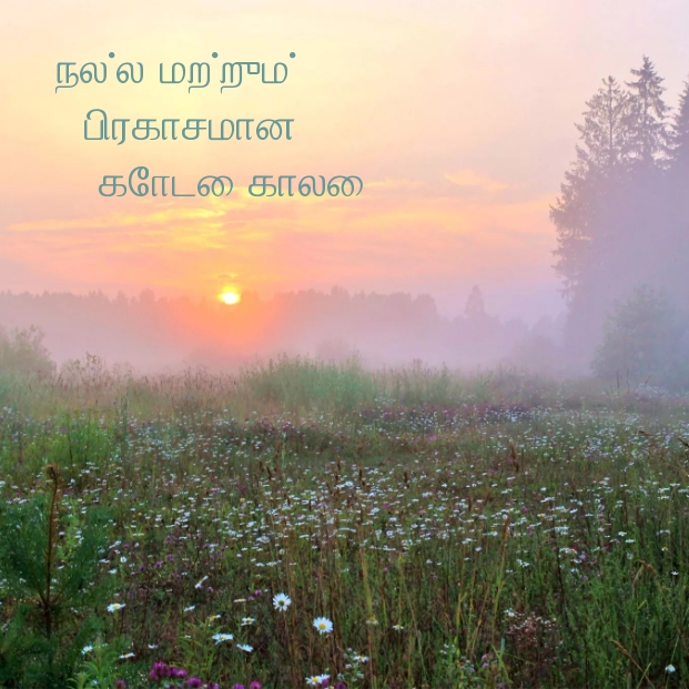 நல்ல மற்றும் பிரகாசமான கோடை காலை!