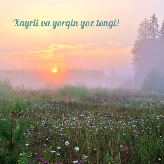 Xayrli va yorqin yoz tongi!