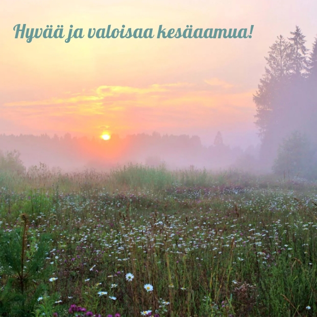 Hyvää ja valoisaa kesäaamua!
