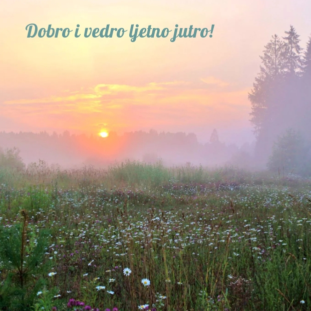 Dobro i vedro ljetno jutro!