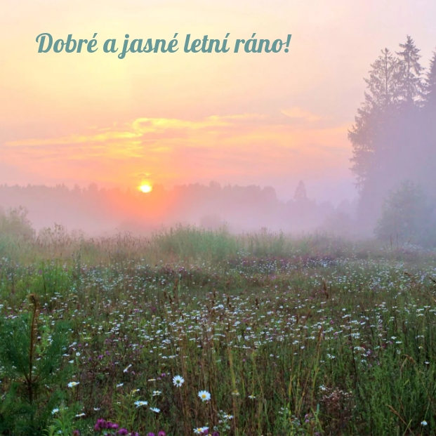 Dobré a jasné letní ráno!