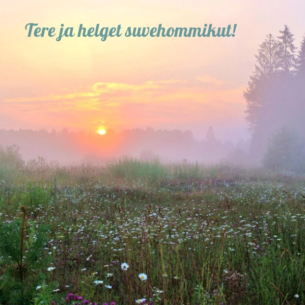 Tere ja helget suvehommikut!
