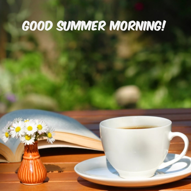 Good summer morning!