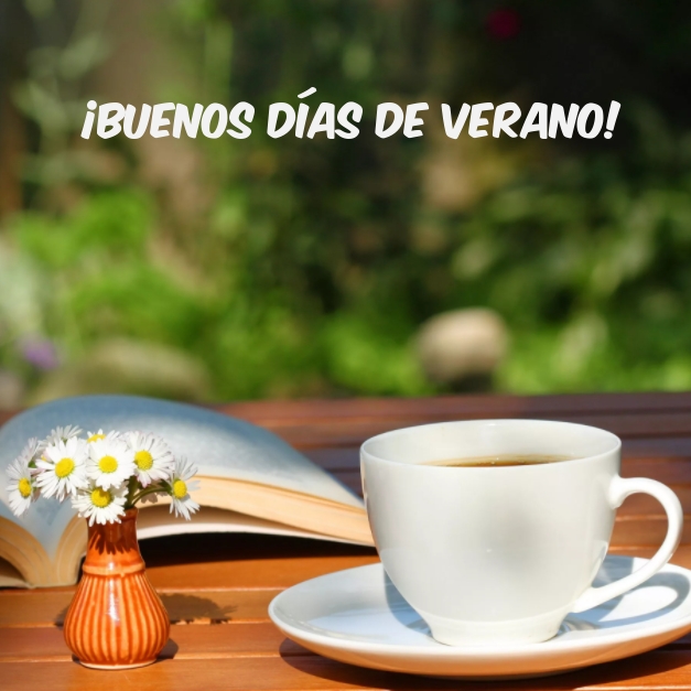¡Buenos días de verano!