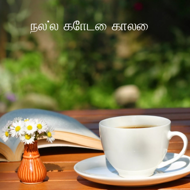 நல்ல கோடை காலை!