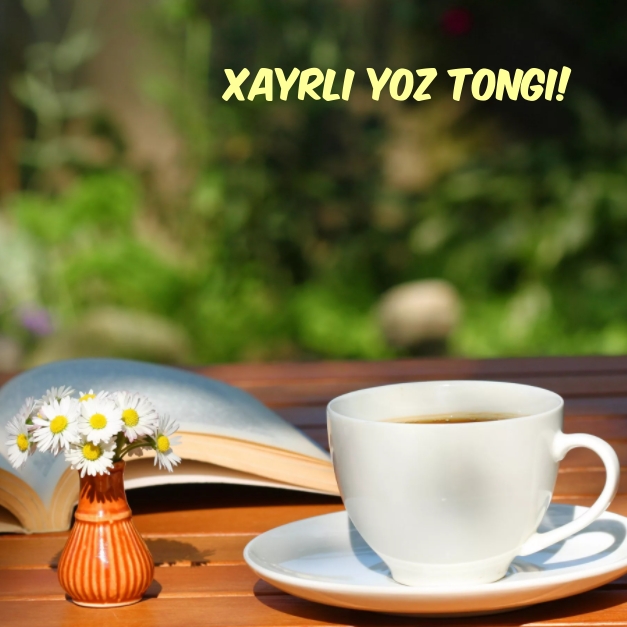 Xayrli yoz tongi!