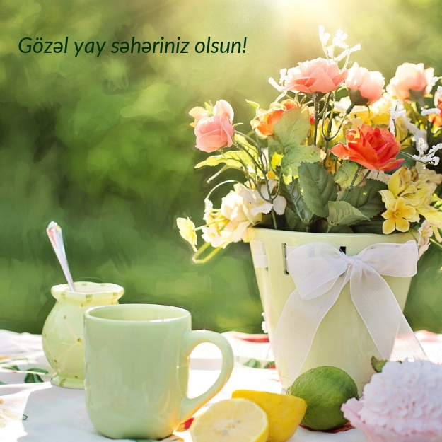 Gözəl yay səhəriniz olsun!