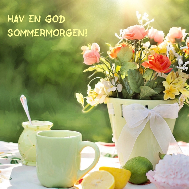 Hav en god sommermorgen!