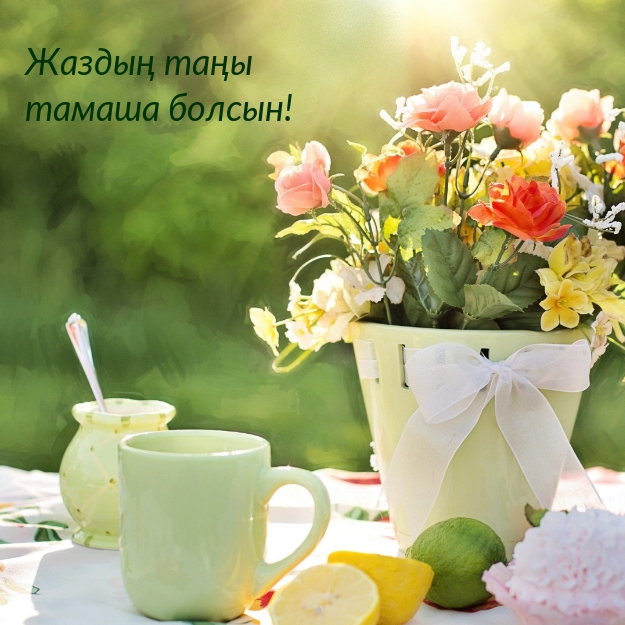 좋은 여름 아침 되세요!