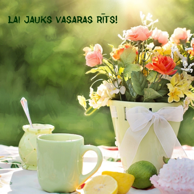 Lai jauks vasaras rīts!