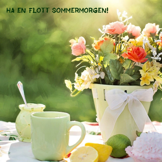Ha en flott sommermorgen!