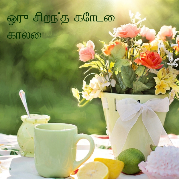 ஒரு சிறந்த கோடை காலை!